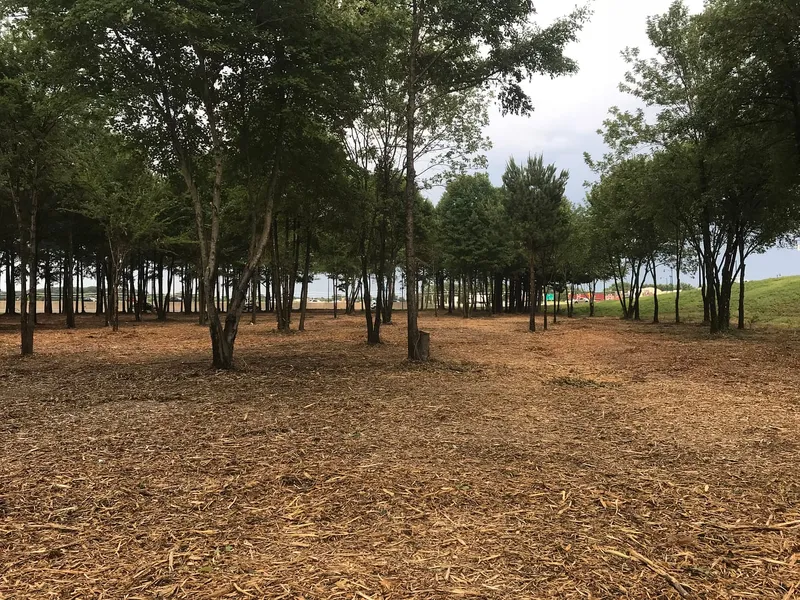 Brush removal service in Central Arkansas